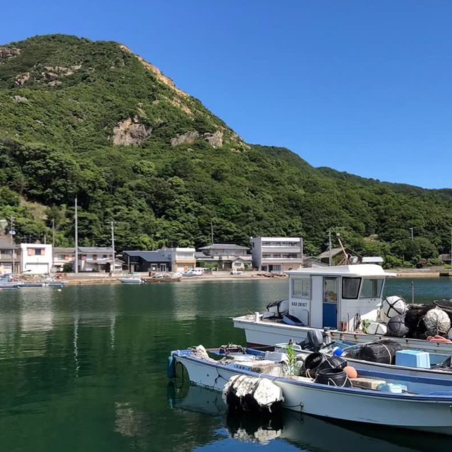 全国各地の美味しい魚を大阪で